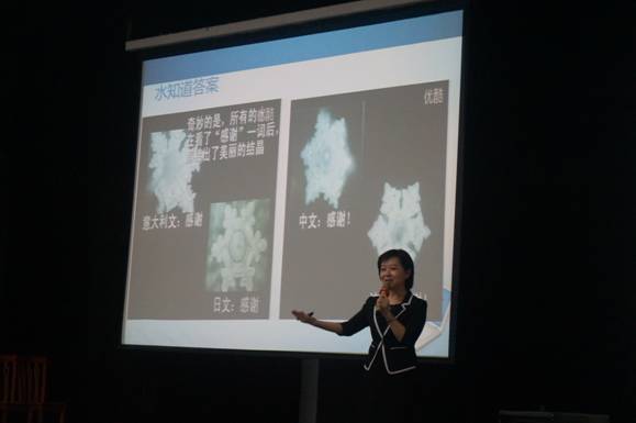 taptap点点体育